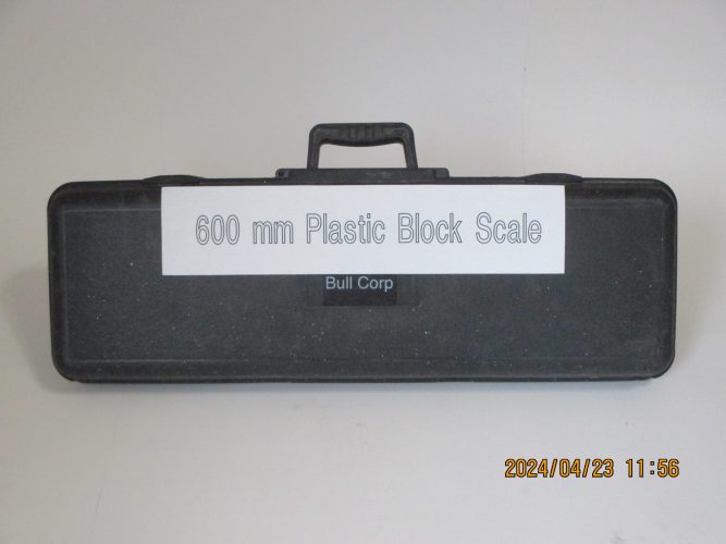 600 mm Plastic Block Scale